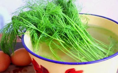 ​茴香苗的吃法做法大全