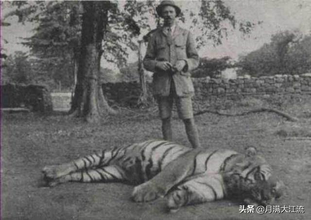 武松几尺身高（武松身高8尺是多高）(图2)