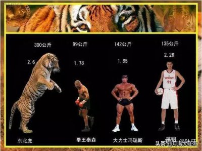 ​武松几尺身高（武松身高8尺是多高）