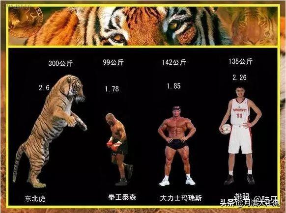 武松几尺身高（武松身高8尺是多高）(图1)