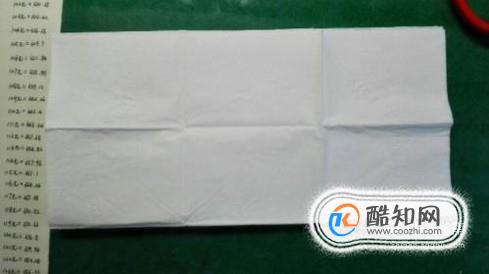 怎样用卫生纸做白花(将纸巾变成白花方法)