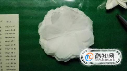 怎样用卫生纸做白花(将纸巾变成白花方法)