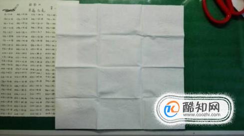 怎样用卫生纸做白花(将纸巾变成白花方法)