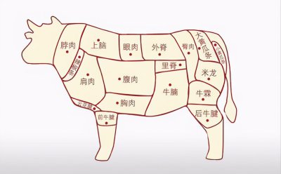 ​牛肉哪里的肉最嫩最香（牛肉哪个地方的肉最嫩最好吃）