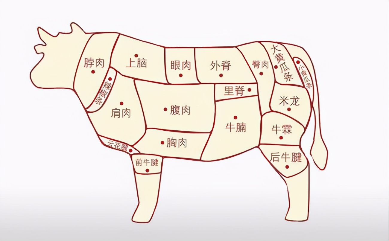 牛肉哪里的肉最嫩最香（牛肉哪个地方的肉最嫩最好吃）(图1)
