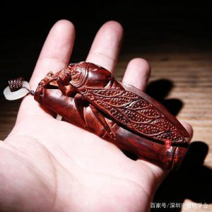 ​蝉联的意思是什么