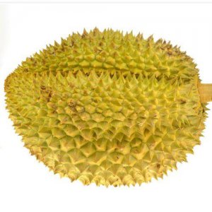​干尧榴莲和金枕头榴莲哪种好