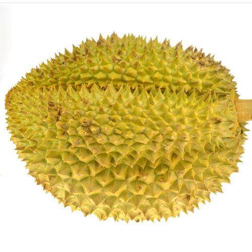 干尧榴莲和金枕头榴莲哪种好