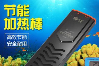 ​鱼缸加热棒多久升温