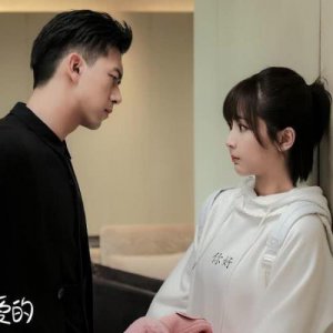 ​亲爱的热爱的总共有几部