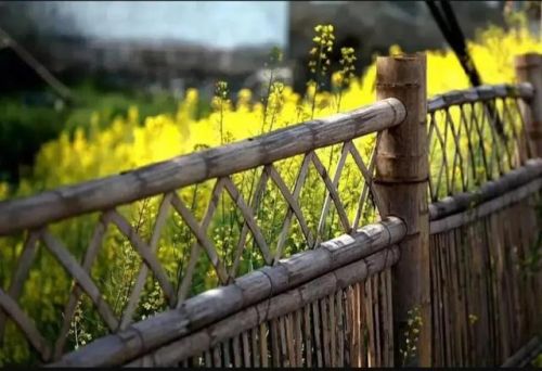 四时田园杂兴其二十五是哪个季节的景色(四时田园杂兴(其二十五)是什么季节的诗)-第2张图片-