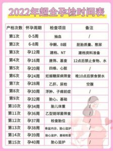 ​什么时候做第一次孕检最合适(什么时候做第一次孕检 丁香医生)