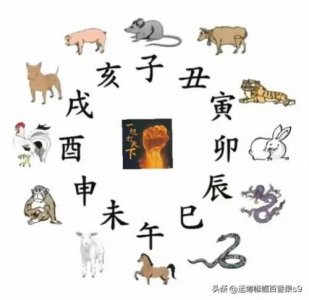 ​属鸡的和什么属相最配相克婚配(属鸡的和什么属相相克)