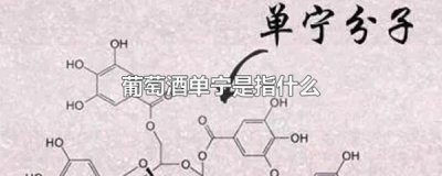 ​口感很酸的红酒(赤霞珠红酒口感是甜是酸)