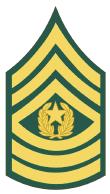 美国的军衔等级排列（美国的军衔等级及标志）