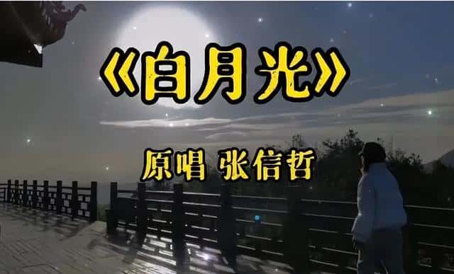 张信哲为什么还单身（歌手张信哲为什么不结婚）