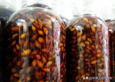 ​子约酒是什么酒(暖情酒是什么酒)