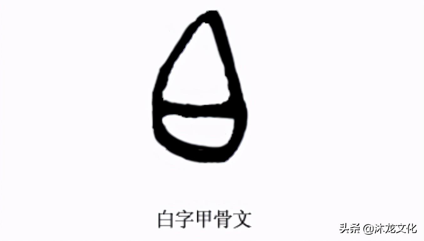 姓白的人数占全国的第几名（全国姓白的有多少人口）