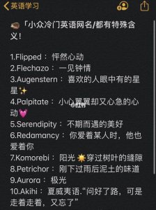 ​特殊意义小众的英文ID（盘点好听的英文游戏名）