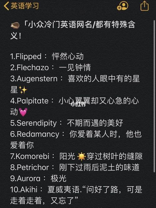 特殊意义小众的英文ID(盘点好听的英文游戏名)