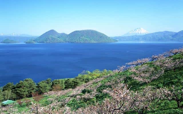 日本明治维新的背景,内容,影响（明治维新的内容和影响）