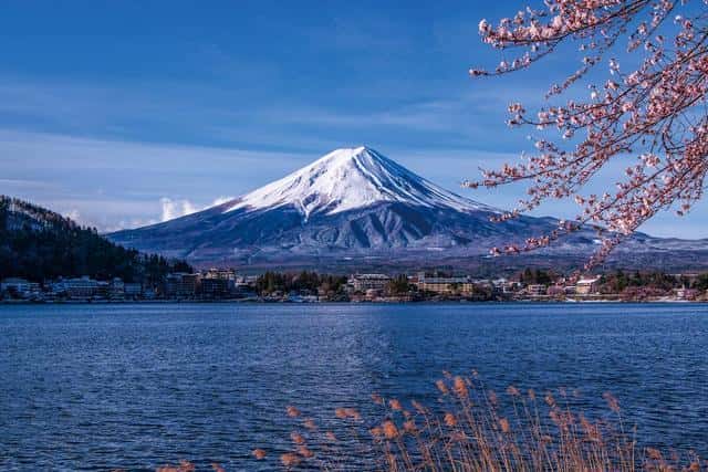 日本明治维新的背景,内容,影响（明治维新的内容和影响）