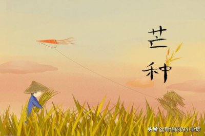 ​芒种节气吃什么食物养生（芒种要做什么事情）