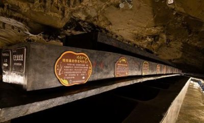​娃娃鱼养殖基地在哪里？四川娃娃鱼养殖基地