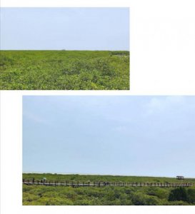 ​广西涠洲岛几月份去旅游最好(广西涠洲岛旅游攻略)