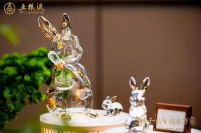 ​五粮液40周年纪念酒介绍(五粮液40周年大事件)