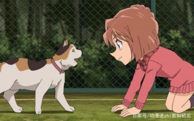 ​灰原哀出现的集数有哪些