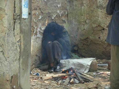 人一般多少天不吃饭可以饿死