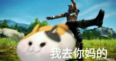 ​ff14各职业技能介绍（无节操娱乐向FF14职业盘点）