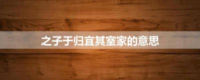 ​之子于归宜其室家的意思