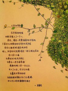 ​席慕容印记原文(席慕容印记全文朗诵)