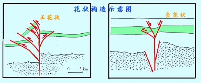 普通地质学剖面图讲解（构造地质学知识点）(16)