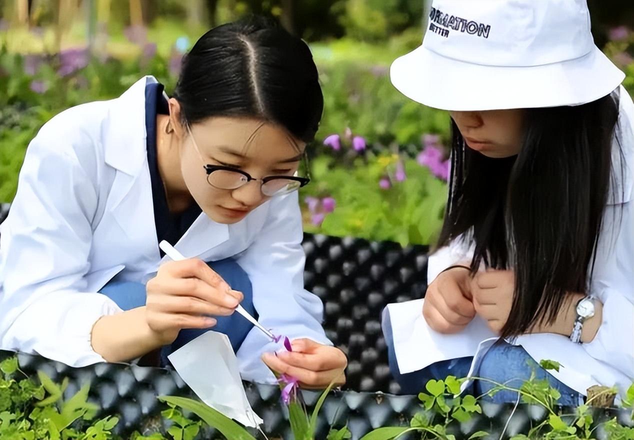 有哪些不用考数学的研究生专业（哪些专业考研不需要考数学）