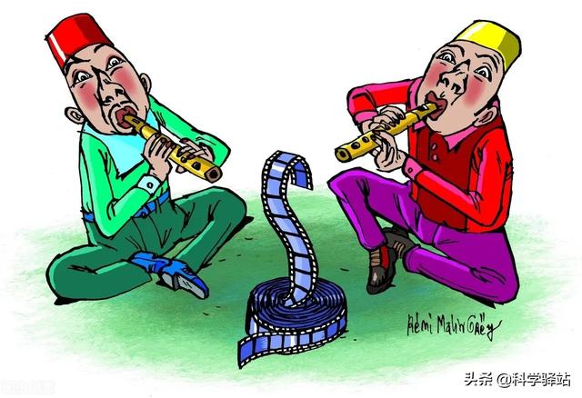 蛇窝被发现后会不会搬家（蛇窝被拆了以后蛇还会回来吗）