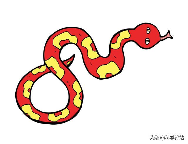 蛇窝被发现后会不会搬家（蛇窝被拆了以后蛇还会回来吗）