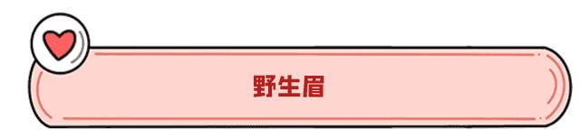 眉形2020流行（2017流行眉型）