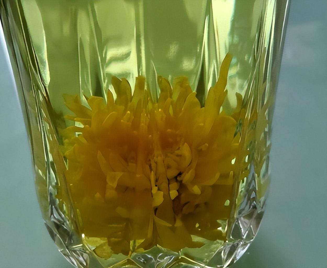 泡茶用那种菊花（泡菊花茶用哪种菊花好喝一点）
