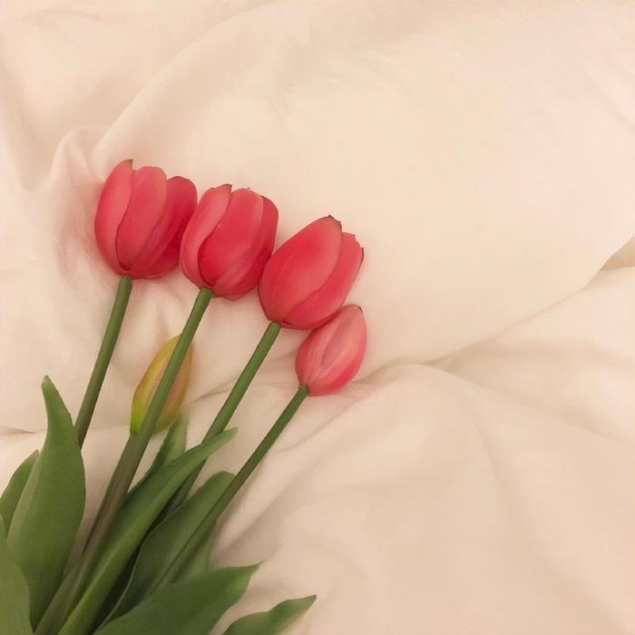 认错的话对女朋友短句（跟女朋友认错的暖心话）