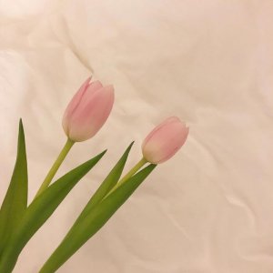 ​认错的话对女朋友短句（跟女朋友认错的暖心话）