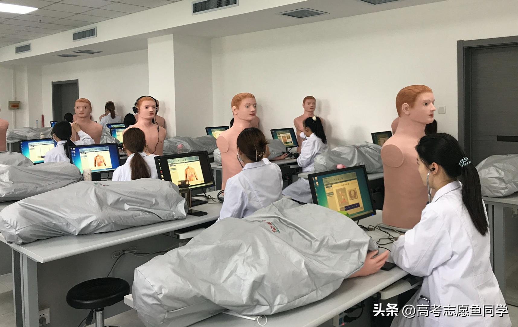 当前专科最热门的专业（专科十大吃香专业）