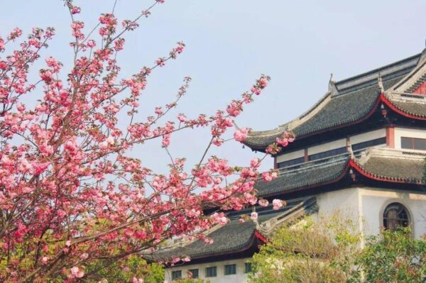 苏州四星级高中排名(苏州四星级高中有哪些学校)-1