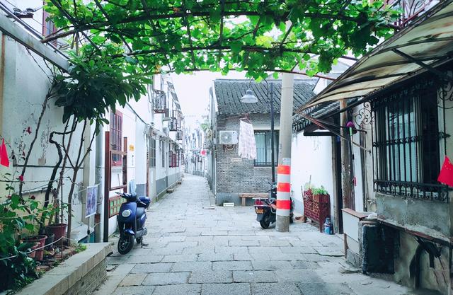 苏州十八景步行街(城市有街景姑苏水城)(23)