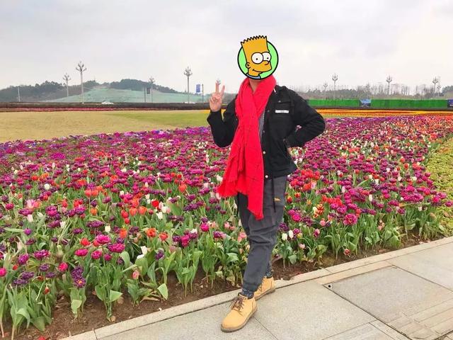 成都s11号线地铁线路图经过哪里 成都地铁1号线三期(11)