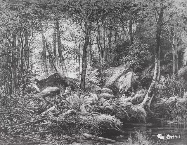 希施金油画风景高清细节（森林的歌手希施金的油画素描作品欣赏）(29)
