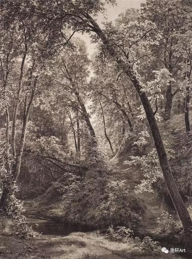 希施金油画风景高清细节（森林的歌手希施金的油画素描作品欣赏）(32)
