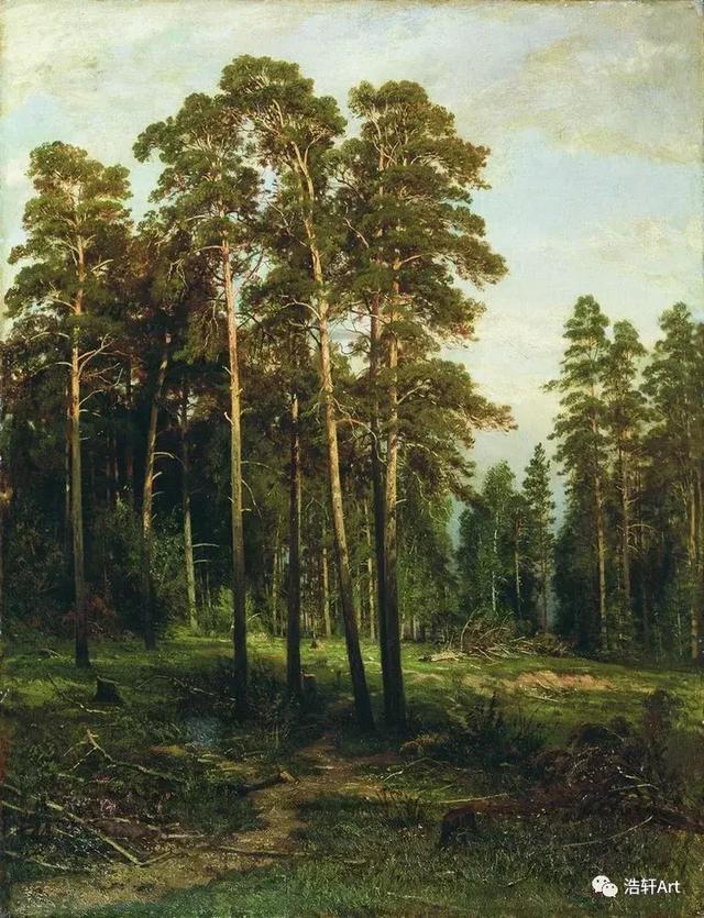希施金油画风景高清细节（森林的歌手希施金的油画素描作品欣赏）(12)